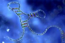 استفاده از پلیمرها در ژن درمانی و ارائه درمان های مبتنی بر DNA برای بیماری ها
