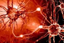 دستاوردهای جدید در تولید سلول های عصبی از سلول های بنیادی پرتوان انسانی