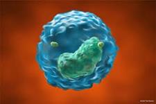 سلول های CAR NKT درمانی امیدوار کننده برای ایمنی درمانی تومورهای توپر