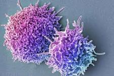 روشی جدید برای تولید سلول های T از سلول های استرومایی مزانشیمی