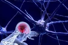 استفاده از فناوری human-on-a-chip برای مطالعه بر روی بیماری ALS