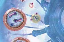دخالت آنزیم SSH1 در دفع زباله های سلولی و بروز مرگ سلولی