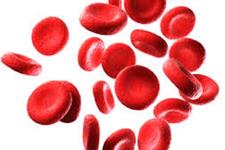 روشی جدید برای آشکار سازی ساختارهای قندی رقیق کننده خون