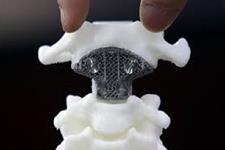 تولید بافت های استخوانی سه بعدی دارای عملکرد با استفاده از یک جوهر زیستی جدید