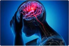 نقش موثر التهاب در پیری سلول های بنیادی عصبی مغز