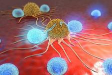 سلول های توموری سنتز شده به تشخیص سرطان و بهینه سازی درمان سرطان کمک می کنند