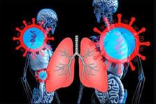 چرا سیگار کشیدن آلودگی به COVID-19 در مجاری هوایی را بدتر می کند