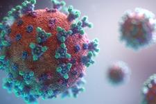 دو آنتی بیوتیک ممکن است اثر ضدویروسی در برابر کووید-19 داشته باشند