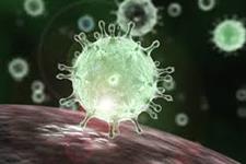 ویروس SARS-COV-2 در سلول‌های ریوی آلوده، باعث افزایش التهاب، طوفان سایتوکاینی و استرس سلولی می‌شود