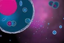 میکروRNAی اگزوزومی مشتق از سلول های بنیادی مزانشیمی به عنوان درمانی جدید برای مشکلات تاثیر گذار روی باروری
