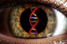 ژن درمانی و ویرایش ژنوم CRISPR/Cas9 برای درمان نابینایی