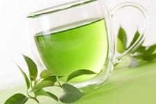 چای سبز به عنوان یک شروع کننده کنترلی برای فعال سازی سلول درمانی از راه دور