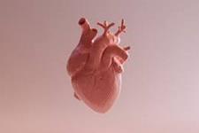قلب های سه بعدی پرینت شده ابزاری برای جراحان