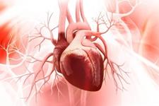 کاهش مرگ و میر بیماران قلب و عروق بعد از درمان با سلول‌های بنیادی