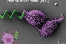 میکروربات‌هایی که خود را از سیستم ایمنی بدن پنهان می‌کنند
