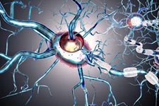 نتایج سلول درمانی بیماری‌های مخرب عصبی MS و ALS  