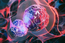 تولید ارگانوئیدهای عملکردی ریه از سلول‌های بنیادی جنینی انسان