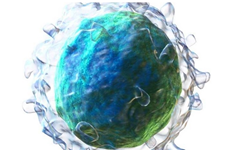 نتایج  امیدوارکننده کارآزمایی فاز I/II  سلول درمانی با سلول‌های مشتق از خون بندناف  