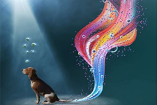 استفاده از سلول‌های بنیادی سگ در پزشکی احیاکننده 