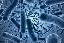 از بین بردن باکتری‌ها بدون استفاده از آنتی بیوتیک، با یک اسپری پپتیدی