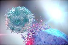 دانشمندان چینی راهی برای بازگرداندن سلول‌های ضد سرطان بدن پیدا کردند