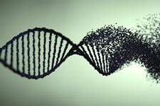 نقش انتخاب طبیعی در ایجاد ژنوم‌های غیر قابل ترجمه