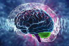 امید جدید برای درمان یک بیماری نادر متابولیک مغزی