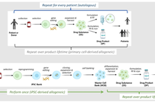 نقش سیتوکین‌ها و عوامل رشد در ساخت محصولات سلول درمانی آلوژنیک مشتق از iPSC