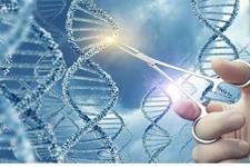 یک ژن درمانی جدید برای درمان دائمی اختلال نادر آنژیوادم ارثی 