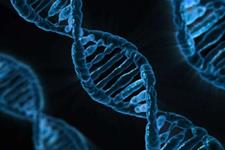 معرفی CRISPR-Cas3 به عنوان یک خردکننده DNA برای ژن درمانی 