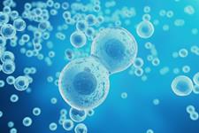چشم انداز درمانی و تجاری وزیکول‌های سلول‌های بنیادی در درماتولوژی احیا کننده 
