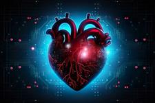 محافظت از سلول‌های قلبی در برابر آسیب‌های شیمی درمانی 