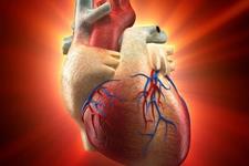 ژن کلیدی ترمیم کننده قلب کشف شد