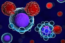 هدف قرار دادن یک نوع سلول ایمنی با سلول ایمنی دیگر رشد سرطان را کند می‌کند