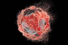 مرگ سلولی انفجاری و کاهش التهاب و سرطان 