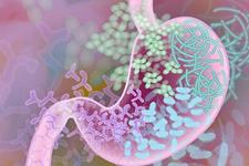 نقش مؤثر باکتری‌‌های مفید روده در موفقیت پس از پیوند سلول‌های بنیادی  