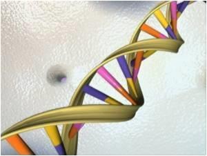 اصلاح جهش‌هاي ژنتيكي ميتوكندريايي انسان براي نخستين بار