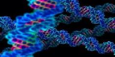 کشف سه ژن جدید اگزما 