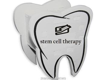 رشد دندان کامل با استفاده از سلول‌های بنیادی 