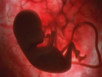 کشف چگونگی تصحیح خطاهای مراحل تکوین جنین