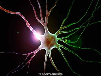 تولید  نورون های عصبی از سلول های پوست بدون معرف های حیوانی