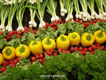 برگ سبزیجات منبع اصلی بیماری مسمومیت غذایی است