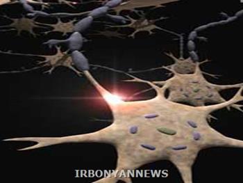 تولید نورون های حرکتی از سلول های پوست