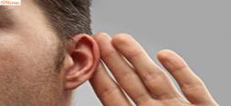 پیوند سلول های بنیادی به حلزون گوش درمان آینده ناشنوایی