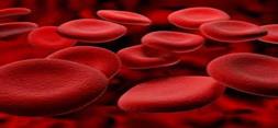 استفاده از سلول های بنیادی برای افزایش تولید سلول های قرمز خون