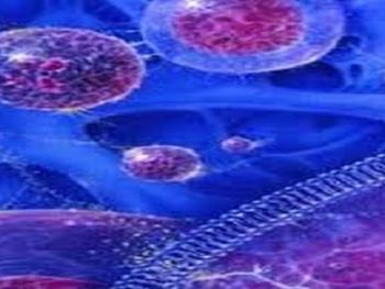 سلول های بنیادی را می توان مدت ها پس از مرگ نیز جداسازی کرد