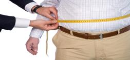 ارگانیسم های روده ای کلید کنترل کننده خطر چاقی