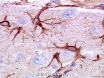 تولید نورون های جدید از سلول های بنیادی عصبی تحت کنترل آستروسیتها
