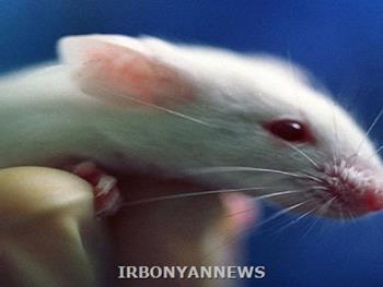 امکان تست داروهای سرطانی بر روی موش‌های آزمایشگاهی 