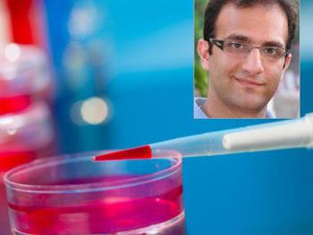 تولید آزمایشگاهی سلول‌های عضله انسان با همکاری دانشمند ایرانی 
